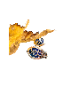 Hammered Custom Tallit Clips with Enamel , Tallit Clips , Israeli Juda