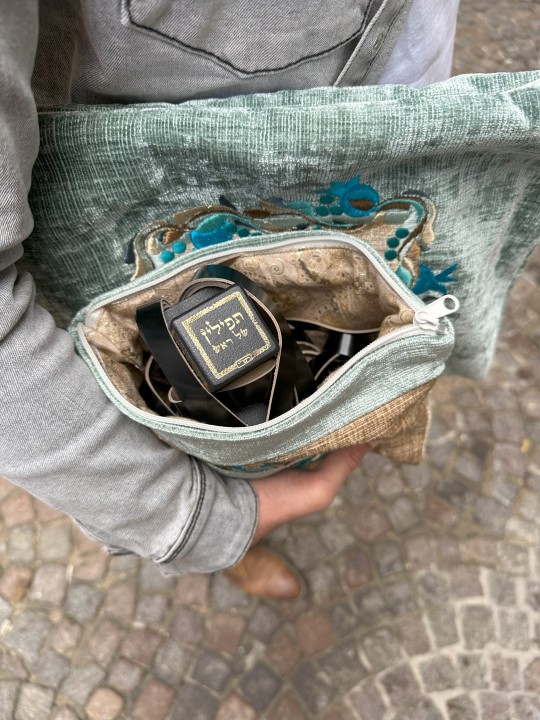 Stunning Two Colors Talis and Tefillin Bags with P , Tallit and Tefill