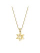 Minuscule pendentif Magen David en or 14 carats avec un Chai, cadeaux Tu B'Av, I