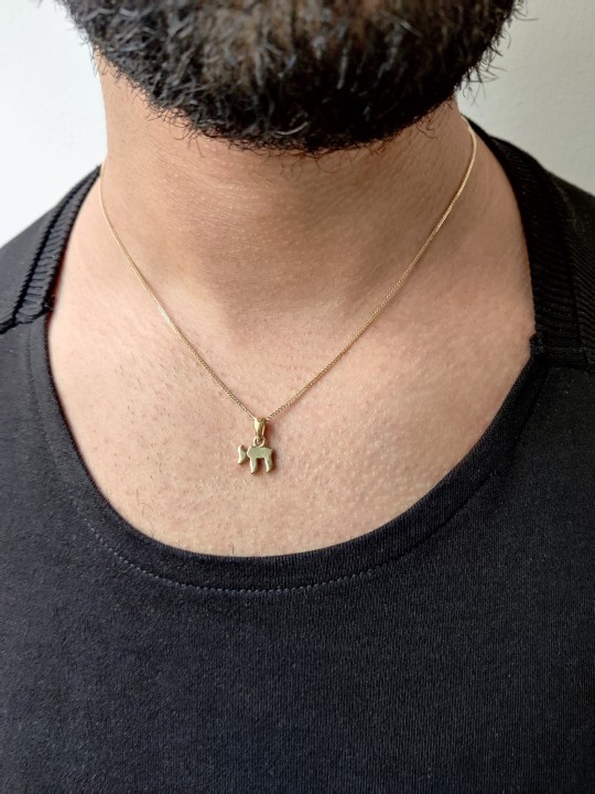 שרשרת חי זהב 14K מודרנית זעירה עבה וכבדה , מתנות ט"ו באב , א
