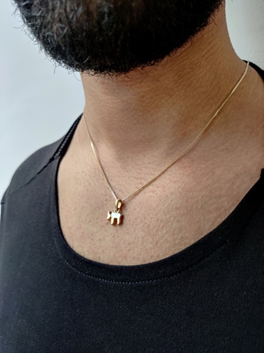 שרשרת חי זהב 14K מודרנית זעירה עבה וכבדה , מתנות ט"ו באב , א
