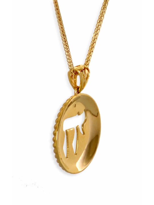 Pendentif Chai encerclé en or jaune 14K, cadeaux Tu B'Av, Judai israélien