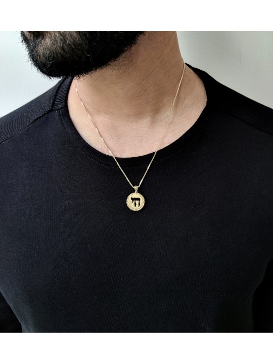 Pendentif Chai encerclé en or jaune 14K, cadeaux Tu B'Av, Judai israélien