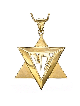 Pendentif Étoile de David en or Blanc Superbe , Cadeaux Tu B'Av , Ju israélien