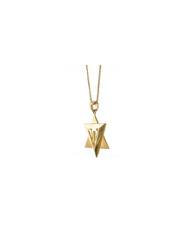 Pendentif Étoile de David en or Blanc Superbe , Cadeaux Tu B'Av , Ju israélien