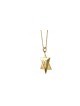 Gold Star of David pendant White Stunning , Tu B'Av Gifts , Israeli Ju