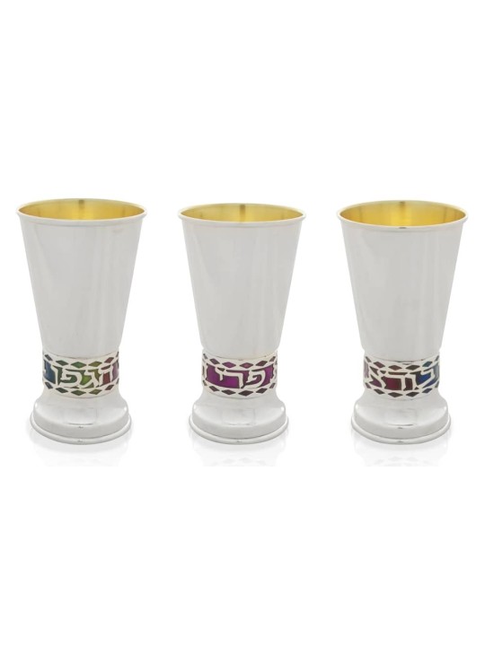 Coupe brillante argentée avec bénédiction de fond coloré, Kiddush Cu moderne