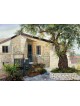 Stunning House in a Jerusalem Neighborhood Print , Tu B'Av Gifts , Isr
