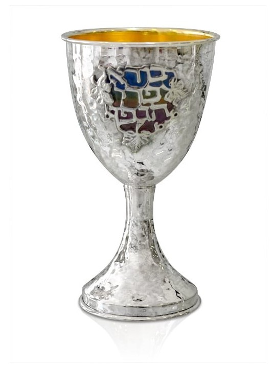 Coupe de Kiddouche colorée Pri Hagefen à alésage martelé, coupes de Kiddouche modernes,