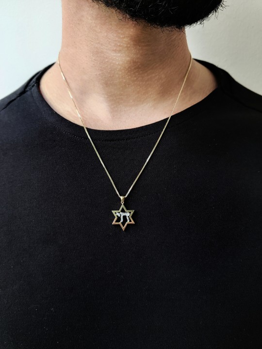 זהב לבן וצהוב 14 קראט עם יהלומים צוואר חי , מתנות ט"ו באב , א