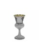 Grande tasse de raisins en argent sterling, cadeaux de Pâque, Judaica israélienne