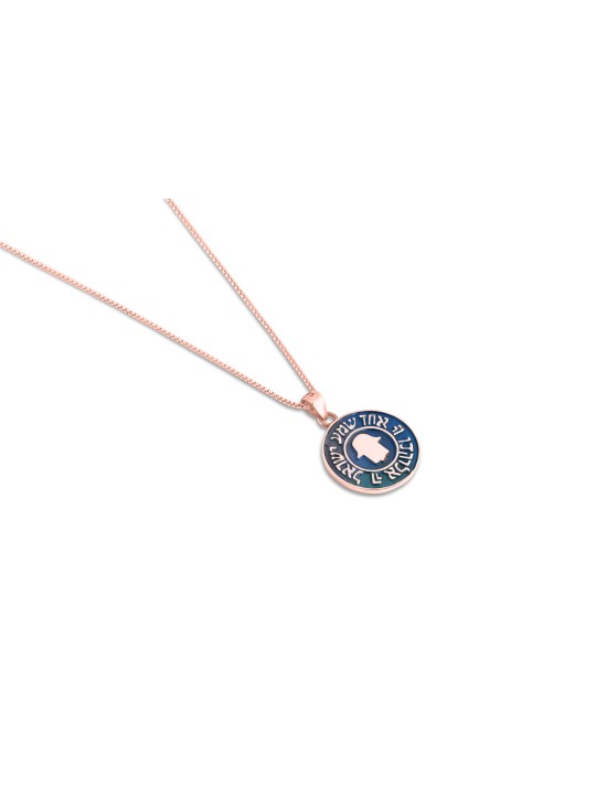 Collier en or Shema Israel et Hamsa, cadeaux Tu B'Av, Judaica israélien