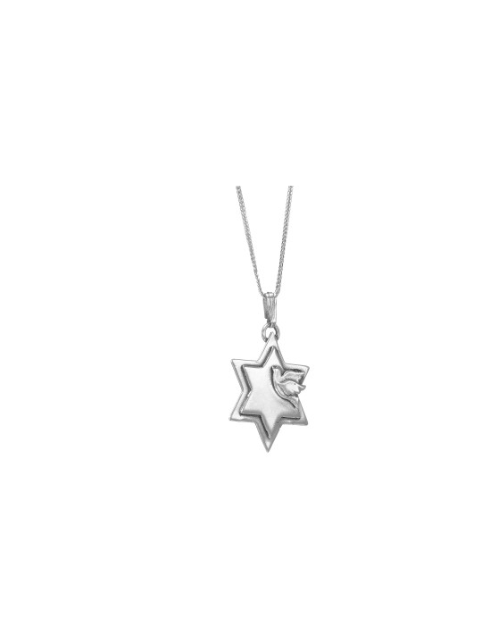 Pendentif étoile de David et colombe en or, cadeaux Tu B'Av, Judaica israélien