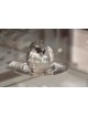 Hammered Honey Dish Set with Plate & Spoon , Hammered Honey Dishes , I