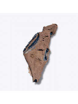 Le béton de la terre promise et le sable de Holly Land, Shalom Sofer, sont