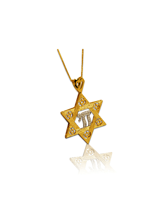 14K Belle étoile de David Chai Collier , Cadeaux Tu B'Av , Ju israélien