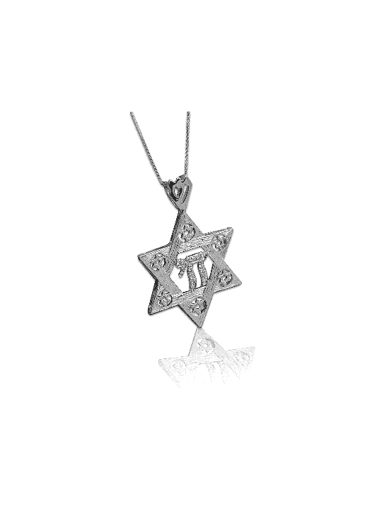 14K Belle étoile de David Chai Collier , Cadeaux Tu B'Av , Ju israélien