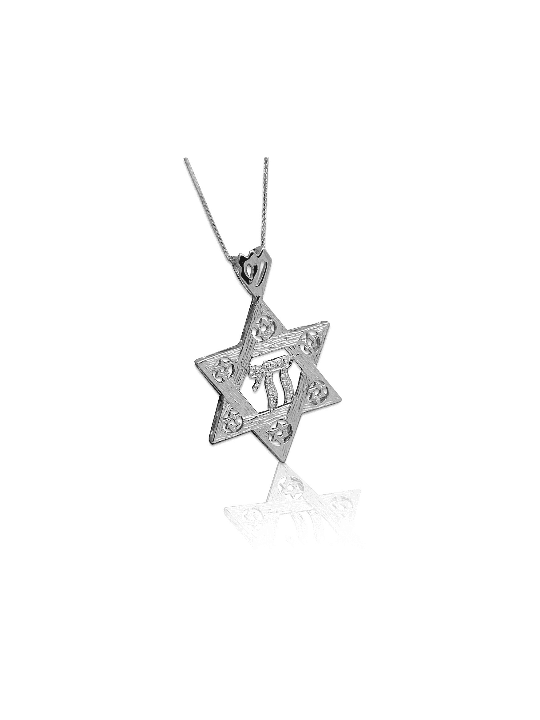 14K Belle étoile de David Chai Collier , Cadeaux Tu B'Av , Ju israélien