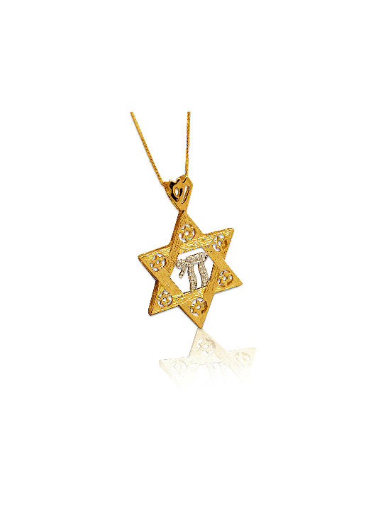 14K Belle étoile de David Chai Collier , Cadeaux Tu B'Av , Ju israélien