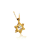 14K Belle étoile de David Chai Collier , Cadeaux Tu B'Av , Ju israélien