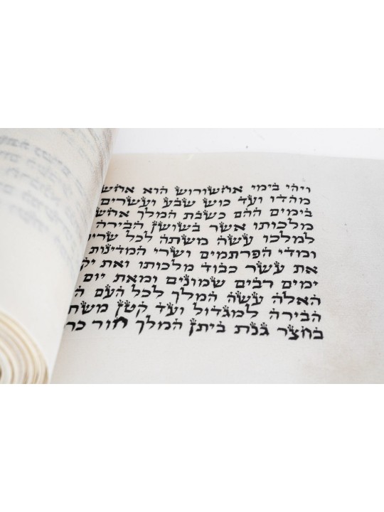 Parchemin Meggiila Esther de taille moyenne, rouleaux de Megillah, judaïque israélien