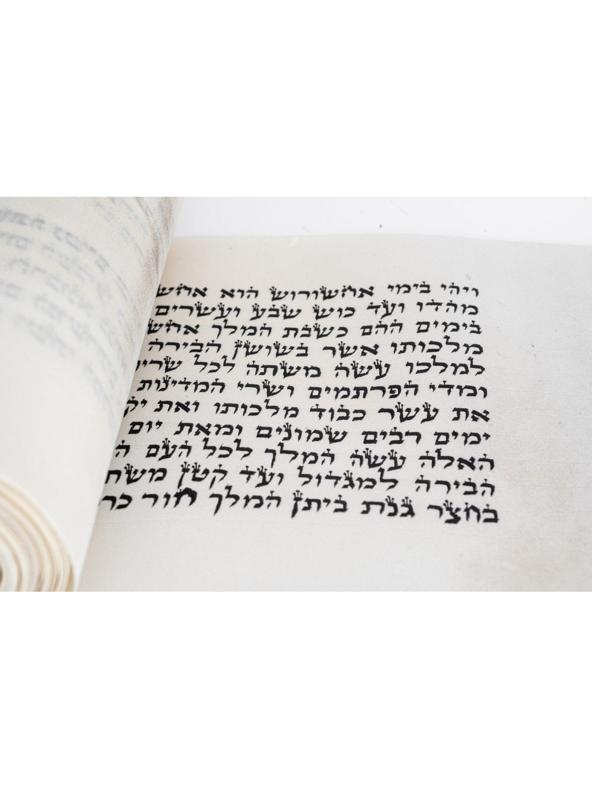 Parchemin Meggiila Esther de taille moyenne, rouleaux de Megillah, judaïque israélien