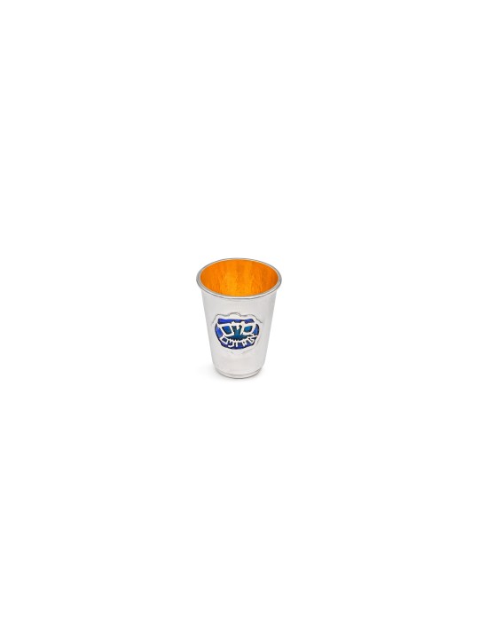 Blue Hammered Maim Achronimwith Hebrew Lettering , Passover Gifts , Is