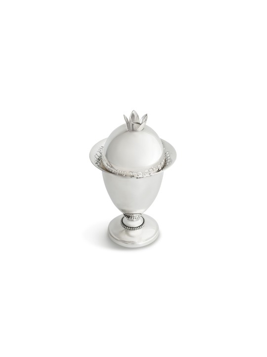 Boîte Etrog en argent sterling avec motif reflets, cadeaux Tu B'Av, est