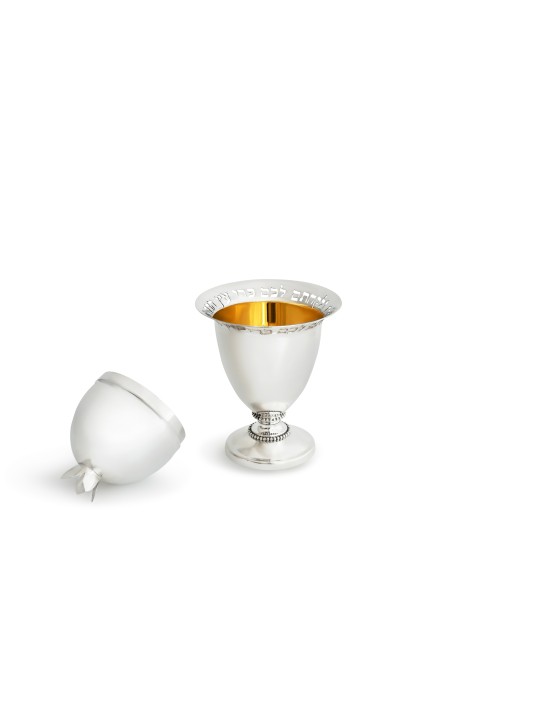 Boîte Etrog en argent sterling avec motif reflets, cadeaux Tu B'Av, est
