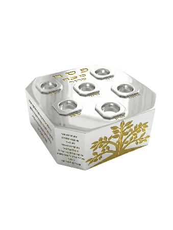 Modern Silver and Aluminum Seder Plate with Passov , Passover Gifts ,