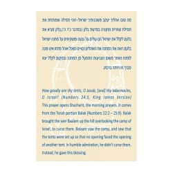 Shraga Landesman Brass Wall Hanging Dove in Sta... | House Decorations