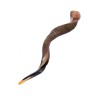 Extra Large Yemenite Kudu Shofar Half Polished Hal... | Special Offers