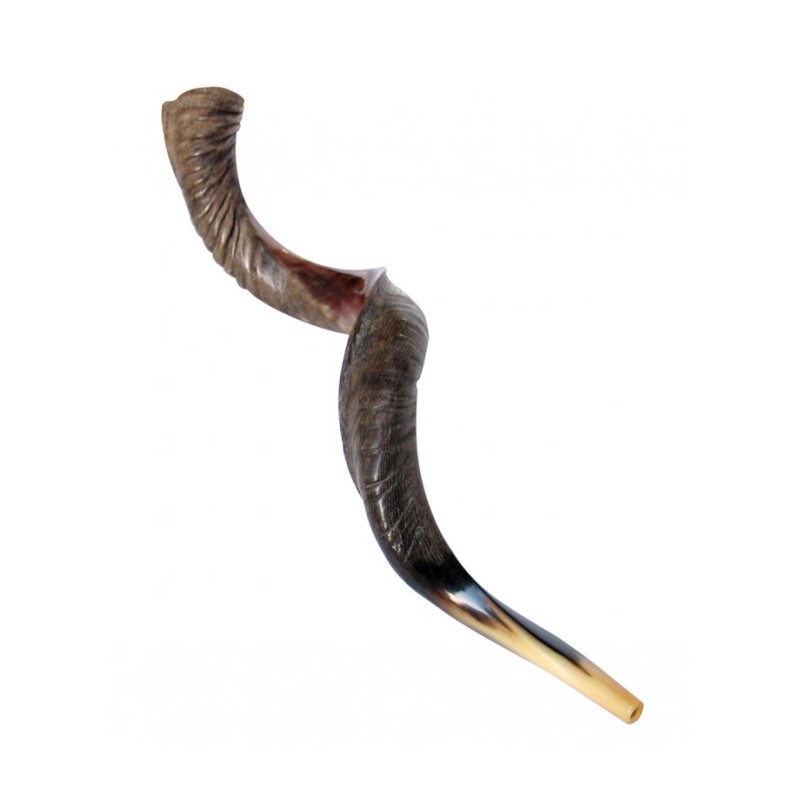 Extra Large Yéménite Kudu Shofar Demi-Poli Hal... | Offres spéciales
