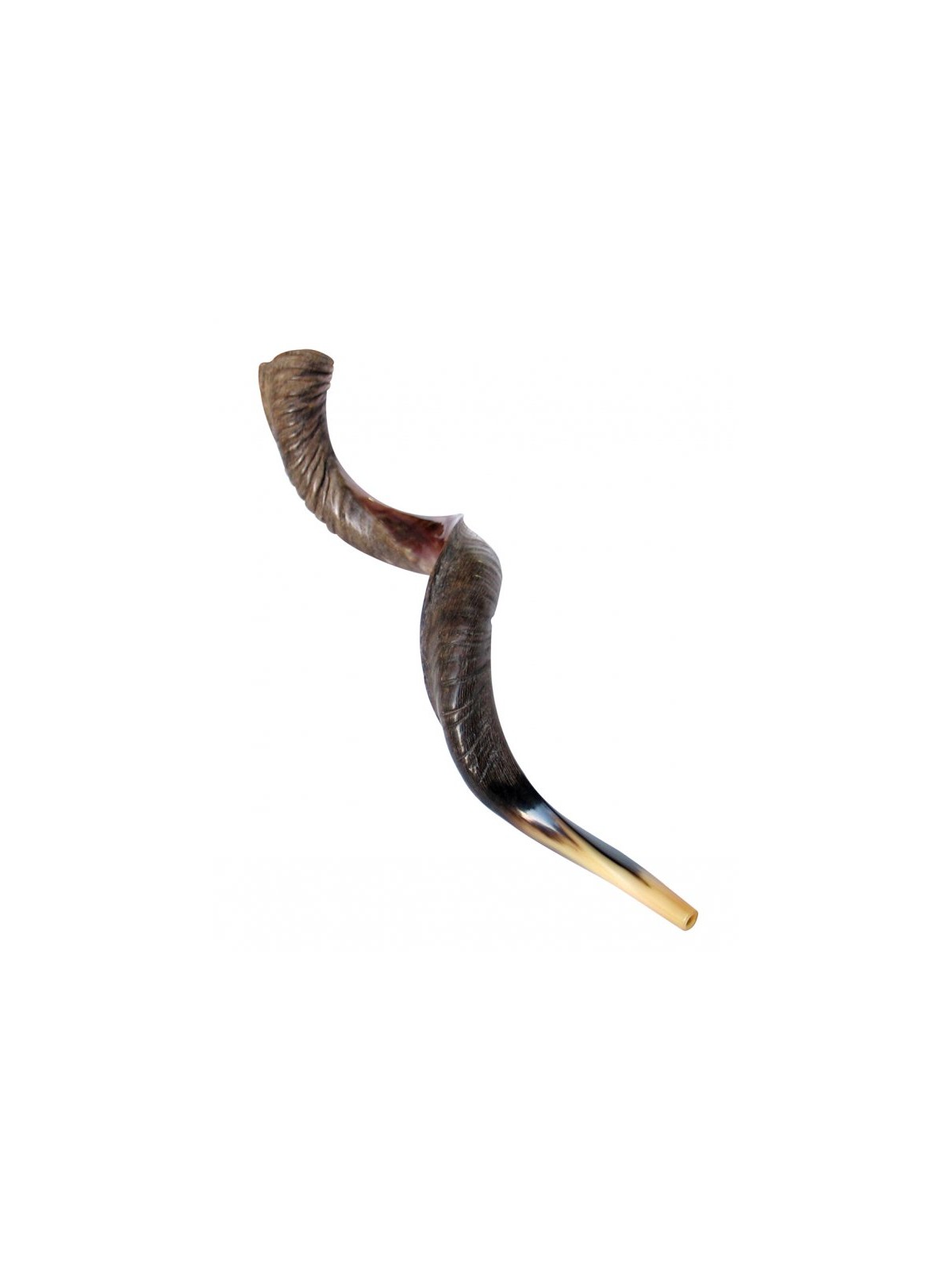 Extra Large Yéménite Kudu Shofar Demi-Poli Hal... | Offres spéciales