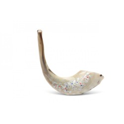 Decorated Hand Painted Rams Horn Shofar Decorat... | Decorated Shofars