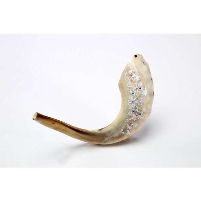 Decorated Hand Painted Rams Horn Shofar Decorat... | Decorated Shofars