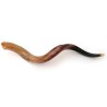 Large Yemenite Polished Shofar | Yemenite Shofars