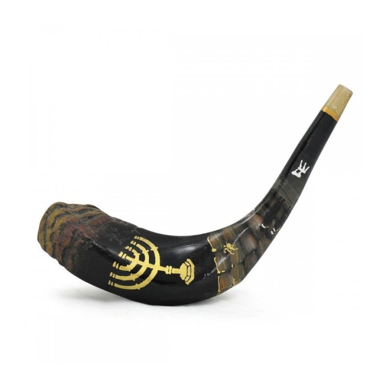 Decorated Hand Painted Rams Horn Shofar Western... | Decorated Shofars