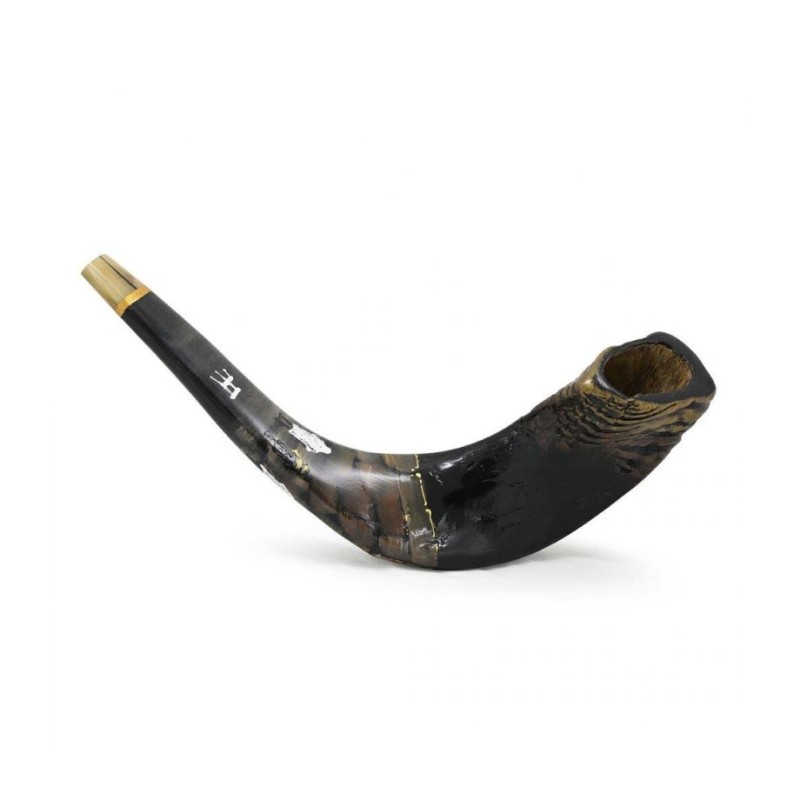 Shofar occidental en corne de bélier décoré et peint à la main... | Shofars décorés