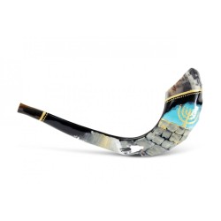 Decorated Hand Painted Rams Horn Shofar Western... | Decorated Shofars