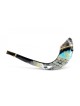 Decorated Hand Painted Rams Horn Shofar Western... | Decorated Shofars