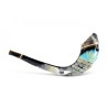Decorated Hand Painted Rams Horn Shofar Western... | Decorated Shofars