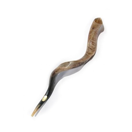 High Quality Yemenite Shofar Kosher Horn Polished | Shofar Sale