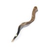 High Quality Yemenite Shofar Kosher Horn Polished | Shofar Sale