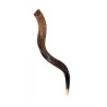 Medium Yemenite Shofar Natural Finish | Yemenite Shofars