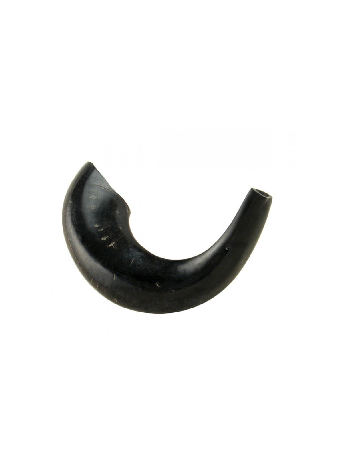 Medium Rams Horn Shofar with Dark Shades %96 Po... | Rams Horn Shofars