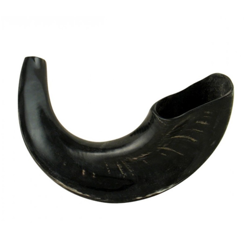 Medium Rams Horn Shofar with Dark Shades %96 Po... | Rams Horn Shofars