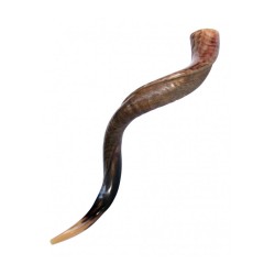 Large Yemenite Kudu Shofar Half Polished Half Na... | Yemenite Shofars