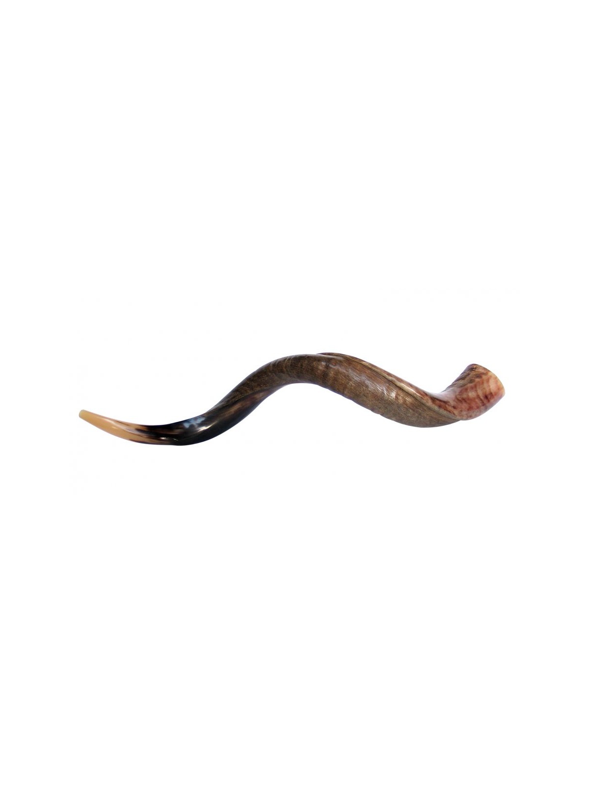 Large Yemenite Kudu Shofar Half Polished Half Na... | Yemenite Shofars