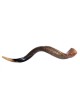 Large Yemenite Kudu Shofar Half Polished Half Na... | Yemenite Shofars